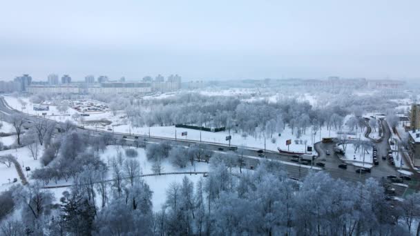Winter City Garden Trees Snow Flying Snow Covered Park Aerial — ストック動画