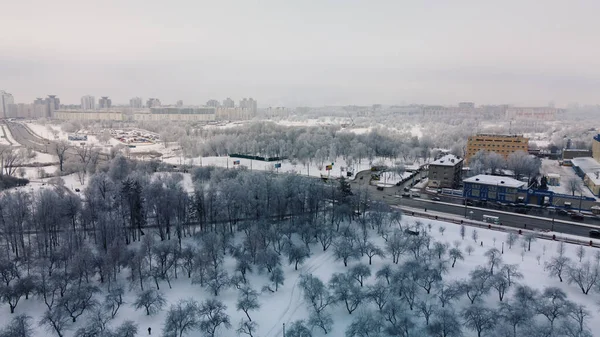 Χειμερινός Κήπος Δέντρα Στο Χιόνι Πετώντας Πάνω Από Ένα Πάρκο — Φωτογραφία Αρχείου