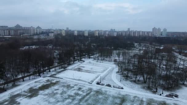 Survoler Terrain Sport Dans Parc Urbain Enneigé Photographie Aérienne — Video