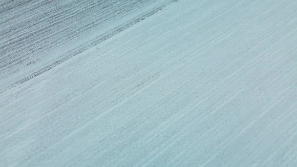 Flying Snowy Field Traces Agricultural Tillage Visible Snow Aerial Photography — Stok video
