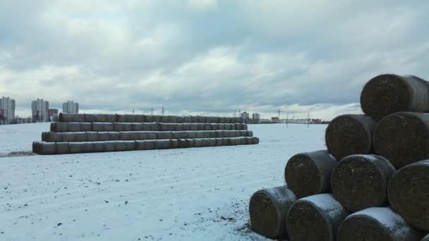 Flying Snowy Field Straw Bales Stacked Traces Agricultural Tillage Visible — Stock video