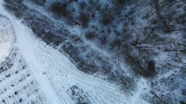 Şehir parkında uçuş. Kış manzarası. Hava fotoğrafçılığı.