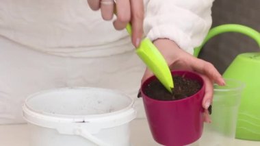 Kesiklerle sardunya ekiyorum. Bir kadın çömleğe toprak koyar. Çiçek kesimleri masanın üzerinde. Bir çömleğe sardunya nakli
