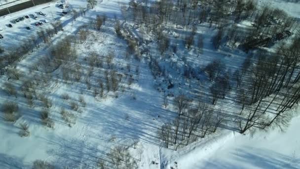 Vuelo Parque Paisaje Invernal Fotografía Aérea — Vídeo de stock