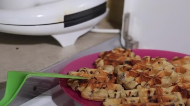 一个女人在搅拌面团做松饼 在盘子里新做的华夫饼 在电华夫饼铁旁边早餐准备 后续行动 — 图库视频影像
