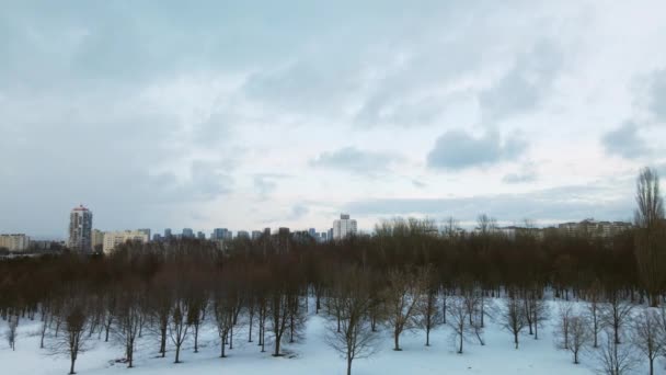 Пригороде Большого Города Городской Квартал Высоты Полета Пруд Городском Парке — стоковое видео