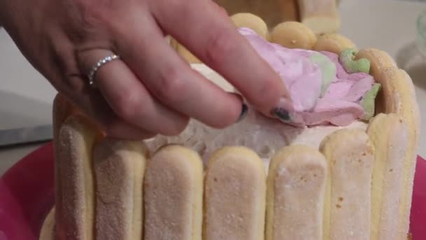 Woman Decorates Cake Zephyr Roses Cake Savoiardi Cookies Marshmallow Roses — Stock Video