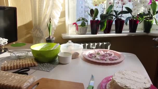 Kobieta Przygotowuje Ciasteczko Składniki Stole Ciasto Ciasteczkami Savoiardi Różami Piankowymi — Wideo stockowe