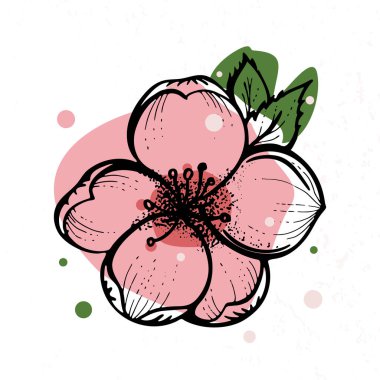 Yapraklı şeftali çiçeğinin renkli ana hatları