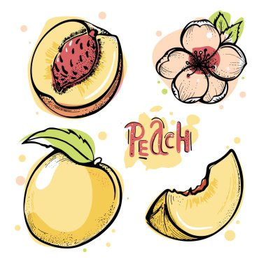 Düz stil bir çizgi film seti. Vektör illüstrasyonu beyaz arkaplanda izole edildi