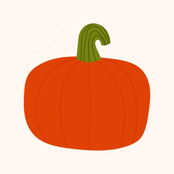 Ručně Kreslená Oranžová Dýně Vektor Izolované Podzim Zeleniny Béžové Pozadí — Stockový vektor