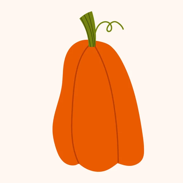 Ručně Kreslené Vektorové Oranžové Dýně Izolovaný Podzim Zeleniny Světlém Pozadí — Stockový vektor