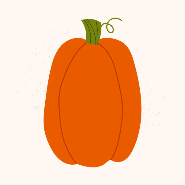 Ručně Kreslené Vektorové Oranžové Dýně Izolovaný Podzim Zeleniny Béžovém Pozadí — Stockový vektor