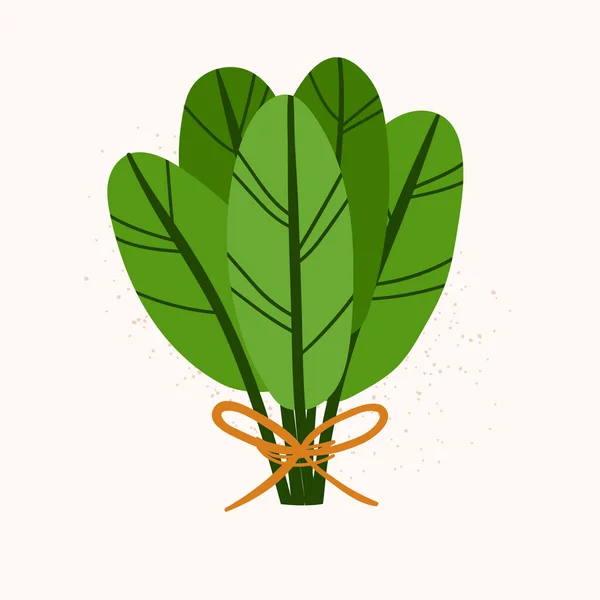 Bündel Grüner Blätter Kritzeln Illustration Isolierte Vektor Aufkleber Teeblätter Auf — Stockvektor