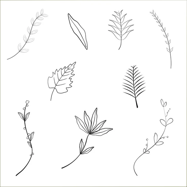 Αφηρημένη Φόντο Φύλλο Φυτό Διακόσμηση Ταπετσαρία Διάνυσμα Εικονογράφηση — Διανυσματικό Αρχείο