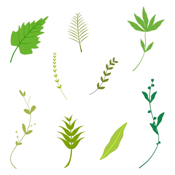 Αφηρημένη Φόντο Φύλλα Χλωρίδας Διακοσμητική Ταπετσαρία Μοτίβο Διανυσματική Απεικόνιση — Διανυσματικό Αρχείο