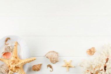 Masa arkasında deniz yumuşakçaları.