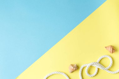 Yaz zamanı. Renkli arka planda fotokopi alanı olan deniz kabukları. Deniz tatili konsepti. Üst görünüm.