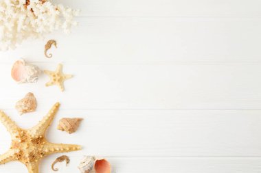 Beyaz ahşap arka planda deniz kabukları ve deniz yıldızları. Üst Manzara. Plaj tatili kavramı. Deniz atı ve mercan hatırası. Düz yatıyordu.