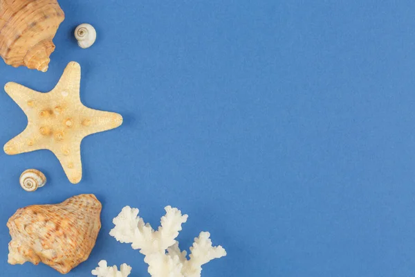 Starfish with corals on blue background. Photo top view with copy space. Concept of beach holiday on the coast. Flat lay. Seashells of sea molluscs banner.