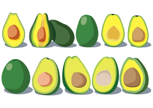 Avocado Fruit Half Geïsoleerd Witte Achtergrond Illustratie Vector — Stockfoto
