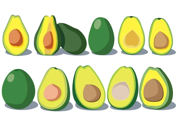 Avocadofrucht Und Halb Isoliert Auf Weißem Hintergrund Illustrationsvektor — Stockfoto