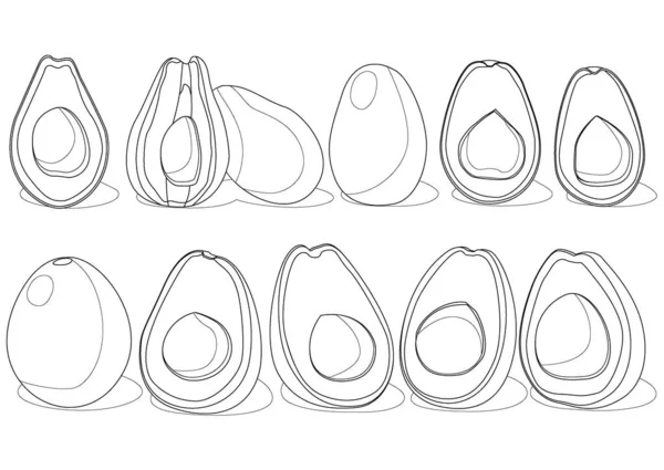 Лінія Авокадо Фрукти Половина Ізольовані Білому Фоні Вектор Ілюстрації — стокове фото