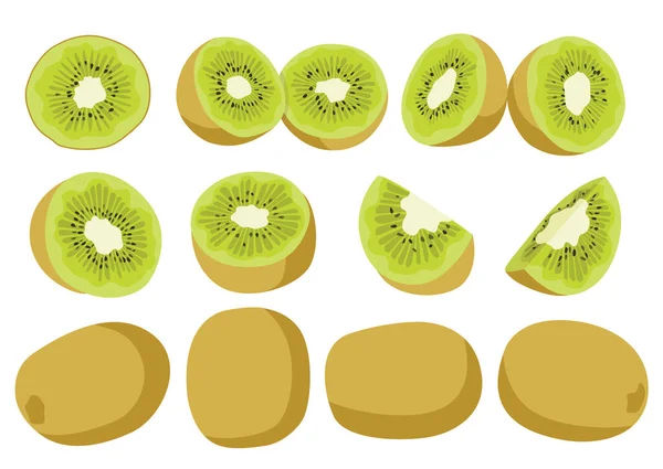 Kiwi Fruit Half Isolated White Background Illustration Vector lizenzfreie Stockbilder