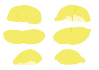 durian meyvesi rengi sarı ve beyaz arkaplan illüstrasyon vektörü üzerinde olgun durian parçası. 