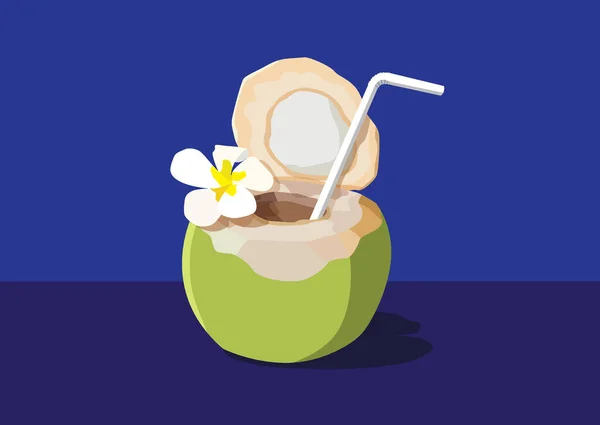 young coconut and plumeria flowers on blue background illustration vector