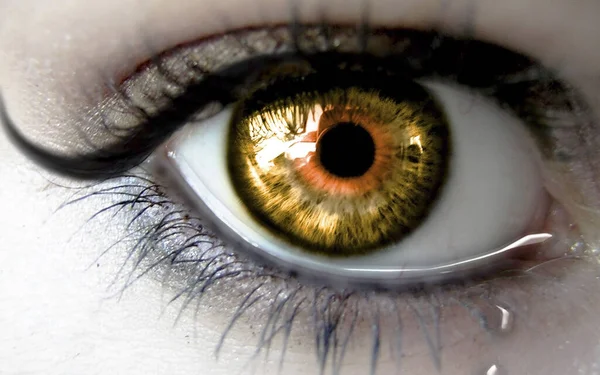 Woman Eye Immediate Macro Print Mortal Eye Eye Sharp Hue — Stock Photo, Image