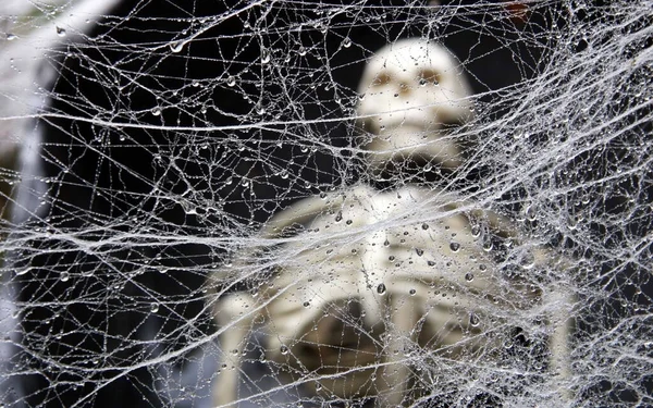 Skeleton Man Tangled Huge White Spider Web — Stock Photo, Image
