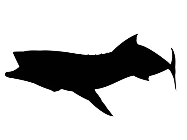 Cobia Fish Silueti Siyah — Stok Vektör