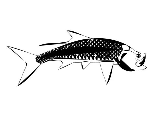 Bir Tarpon Balığının Moder Tasarımı — Stok Vektör
