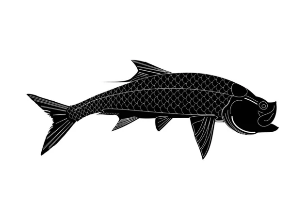 Umrissene Silhouette Eines Tarpon Fisches — Stockvektor
