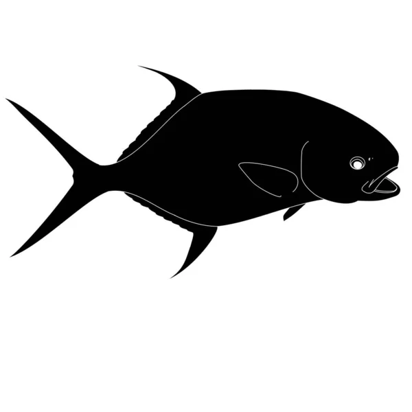 Bir Zin Balığının Özetlenmiş Silueti — Stok Vektör