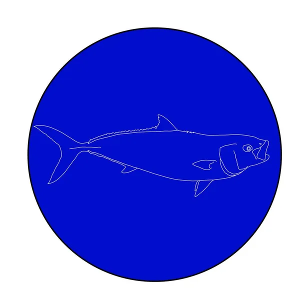 Esboço Peixe Cauda Amarela Califórnia Círculo Azul — Vetor de Stock