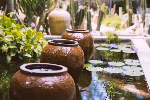 House landscape design. Large dark beige brown retro vintage ceramic decor jugs, water pool lilies green leaves reflect sky. Outdoor tropical plants cactus. Real nature background peace harmony — Stok Foto