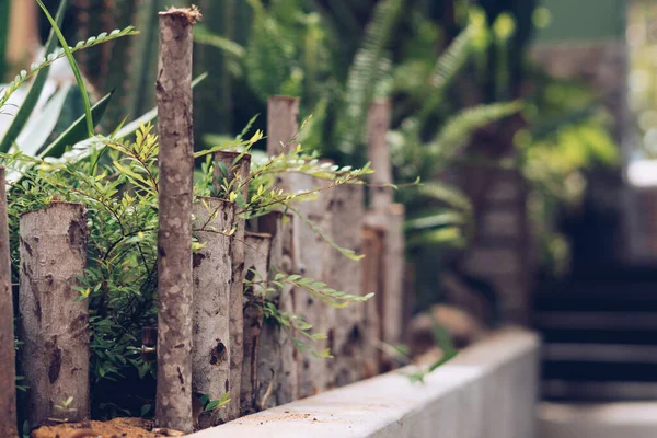Vintage bright nature background. Fence flower bed greenery, thin trunks. Decorative logs wall, modern design landscape house territory, path forward way, pedestrian sidewalk. Blur defocus stairs — Stock Photo, Image