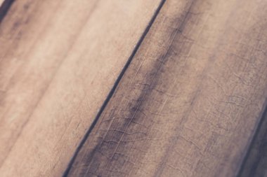 Macro, Soyut Gerçek Güzellik Özgeçmişi 'ni çekti. Kurumuş tropik bitki yaprağı yüzey dokusu yapı detayı çapraz damar çizgi şeridi. Basit tasarım mat vintage koyu kahverengi bej tonu