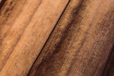 Macro, Soyut Gerçek Güzellik Özgeçmişi 'ni çekti. Kurumuş tropik bitki yaprağı yüzey dokusu yapı detayı çapraz damar çizgi şeridi. Basit tasarım mat vintage koyu kahverengi bej tonu