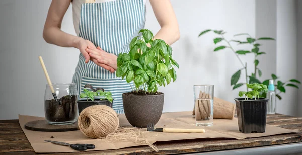 Auf Einem Holztisch Gartengeräte Erde Wer Eine Schürze Trägt Pflanzt — Stockfoto