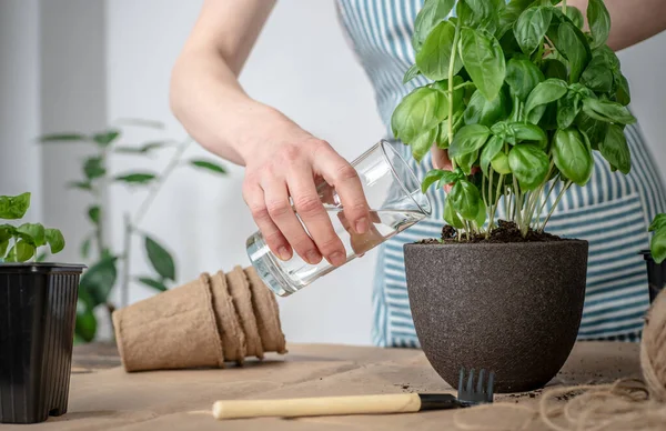 Auf Einem Holztisch Gartengeräte Erde Wer Eine Schürze Trägt Pflanzt — Stockfoto