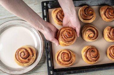 Dişi eller taze tarçınlı ruloları pişirme tepsisinden tabağa dikkatlice taşıyor. Lezzetli ev yapımı hamur işleri ve sıcak bir atmosfer kavramı. Üst görünüm.