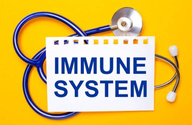 Parlak sarı arkaplanda mavi bir steteskop ve IMMUNE SİSTEM yazılı bir kağıt var. Tıbbi konsept