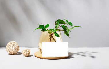 Gri arka planda gölgeler, saman topları, vazoda bir bitki ve içine metin eklenecek boş bir beyaz kart. İş planı. Düzen