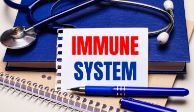 Masanın üzerinde not defterleri, bir steteskop, bir kalem ve IMMUNE SİSTEM yazılı bir kağıt var. Tıbbi konsept