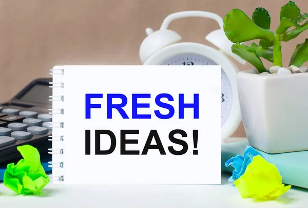 화분에 계산기 자명종 색깔의 그리고 Fresh Ideas 글자가 노트북 — 스톡 사진