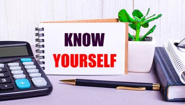 Masaüstünde bir hesap makinesi, günlükler, saksıda bir bitki, bir kalem ve 