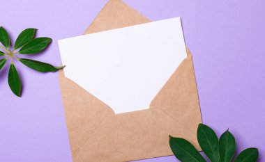 Eflatun bir arka planda, bir el işi zarfı, Shefflera yaprakları ve içine metin eklemek için beyaz bir sayfa. Şablon. Boşluğu kopyala